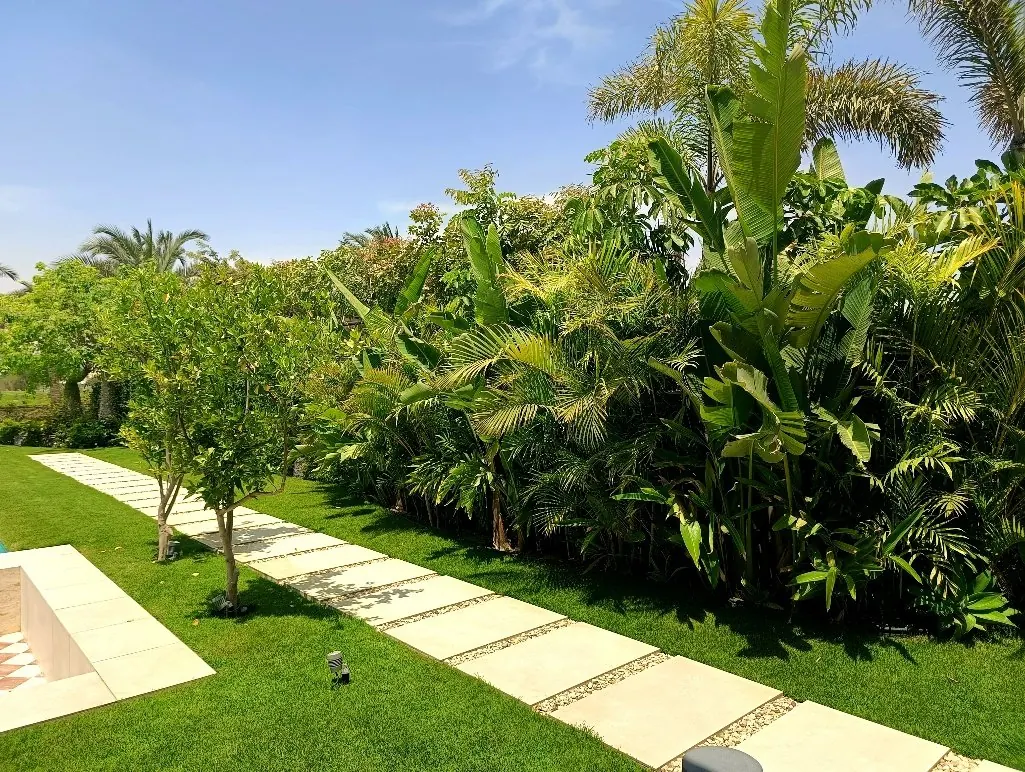 Presidential Palace landscaping, New Administrative Capital